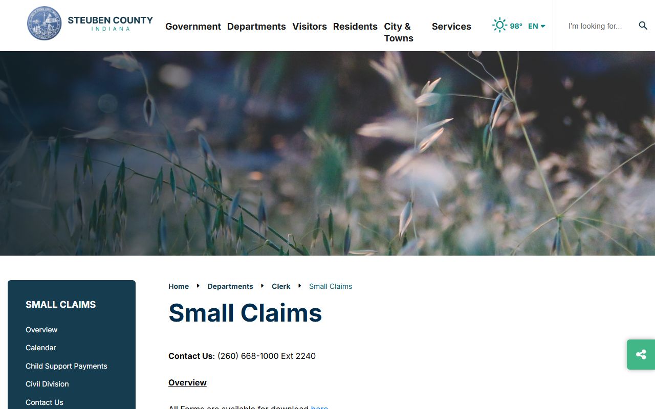 Steuben County probate records civil probate filing information