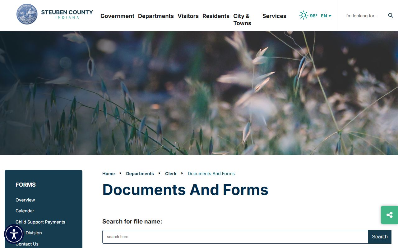 Steuben County probate records Clerk documents and forms
